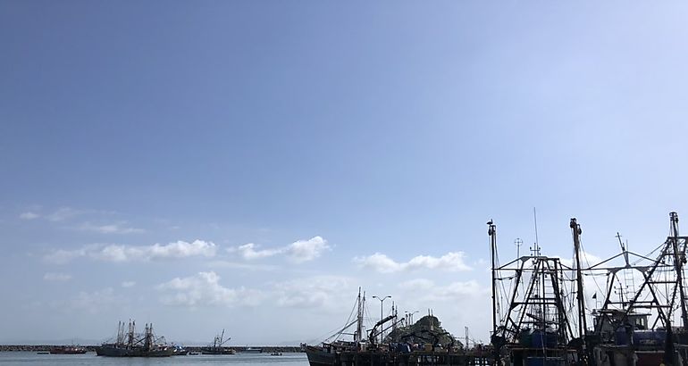 barcos camaroneros