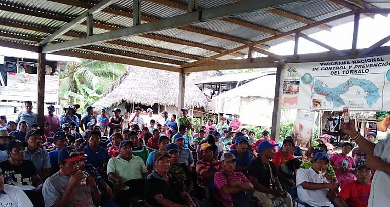 Salud Animal realiza Jornada de Capacitacin en Comarca NgbeBugl