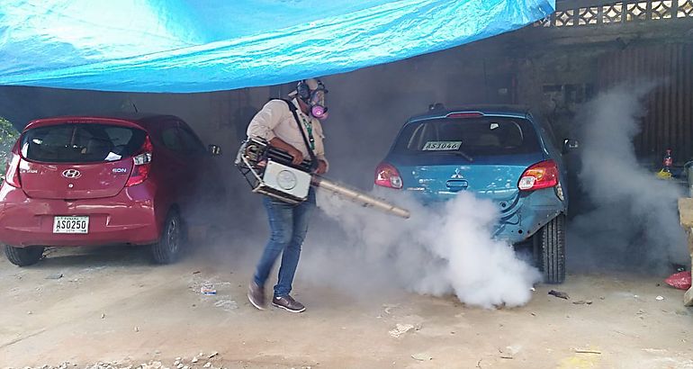 criaderos de mosquitos 