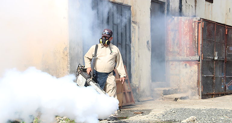 criaderos de mosquitos