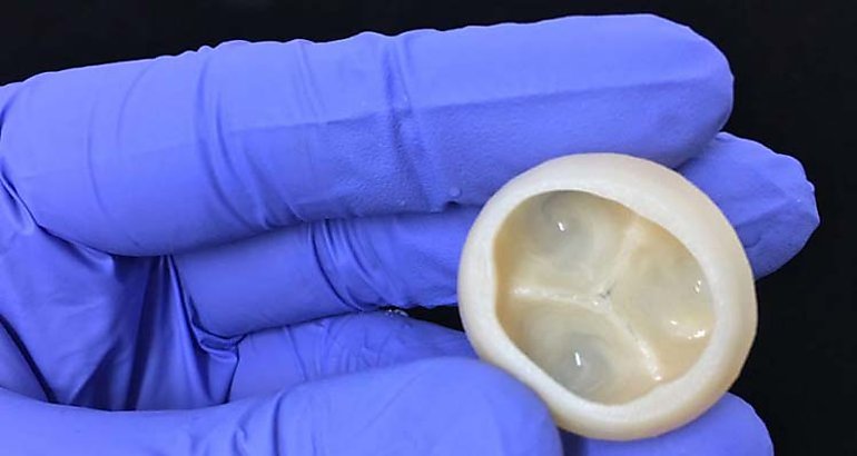 Imprimen en 3D componentes funcionales para reparar corazones