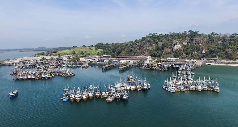 El puerto de Vacamonte