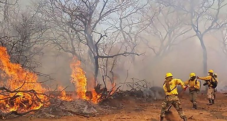 incendios forestales en el Chaco