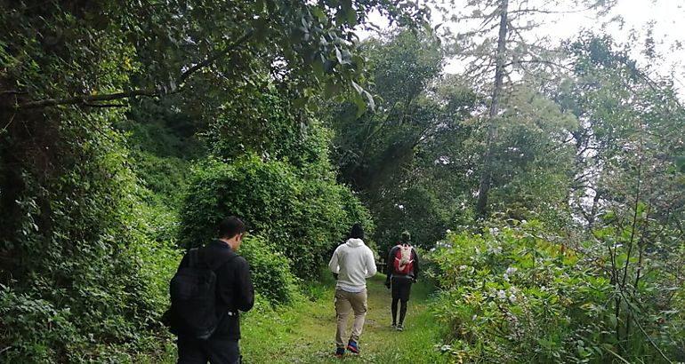 Sendero Los Quetzales 