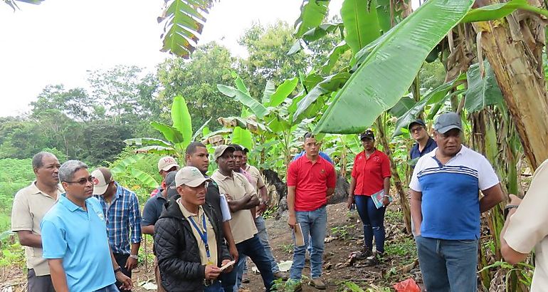 MIDA capacita a tcnicos de Darin y Comarca Guya Yala para evitar ingreso de plaga de los pltanos