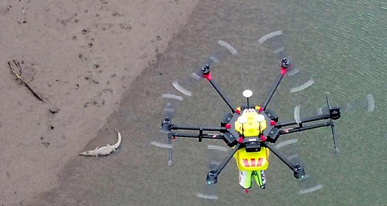 Australia desplegar drones para evitar ataques de cocodrilos