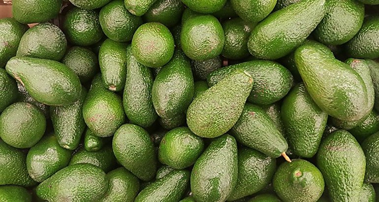 Aguacate