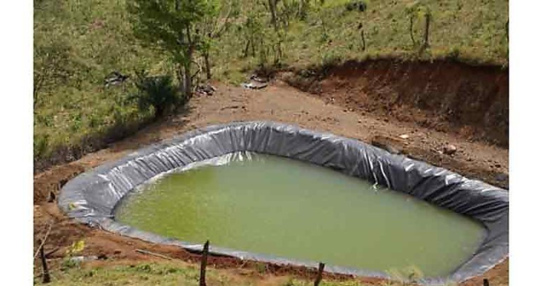 Cosechan agua en Panam 