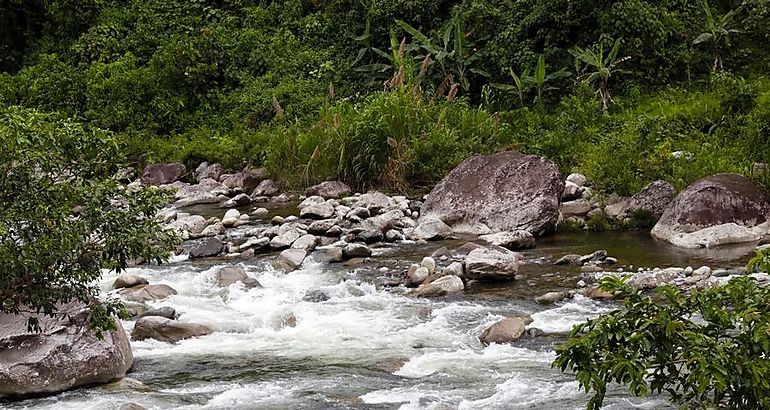 Ro Canoa