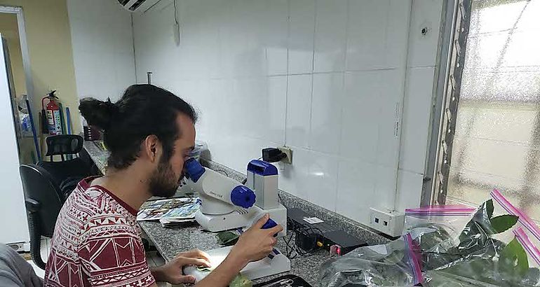 Investigador