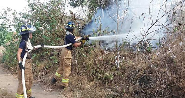  incendios de masa vegetal