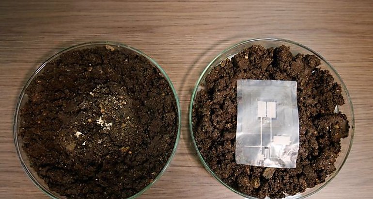 dispositivo electrnico biodegradable