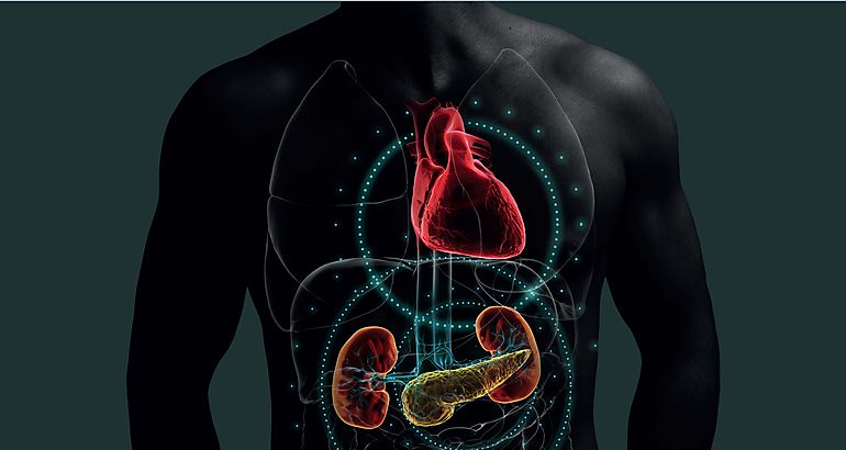 Especialistas impulsan el abordaje multidisciplinario e integral de las enfermedades cardiorenalmetablicas