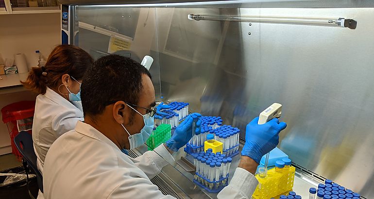 Laboratorio