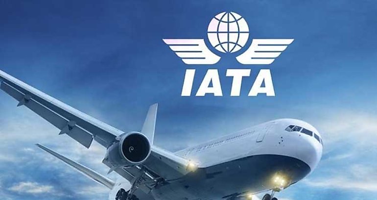 La Asociacin Internacional de Transporte Areo
