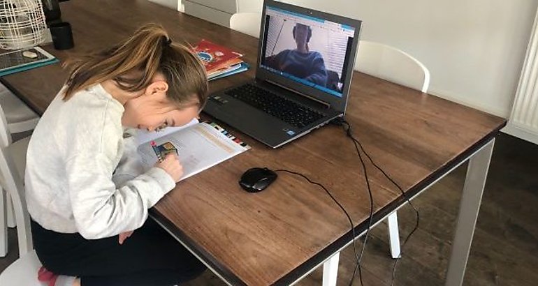Niera virtual