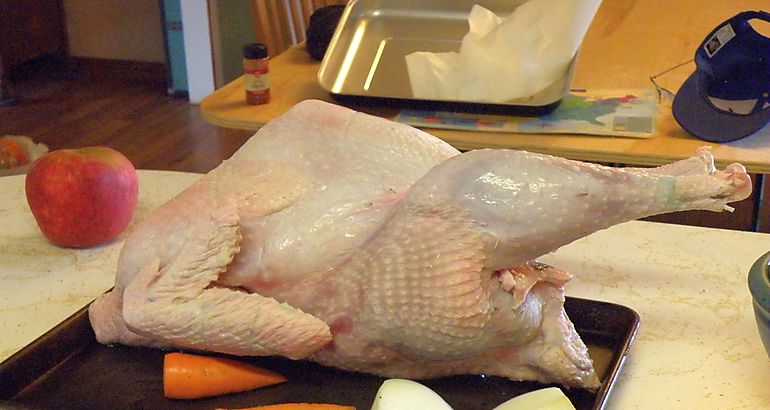 Carne de pavo