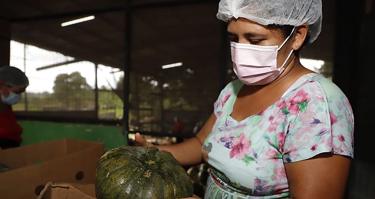 Productores se capacitan para la defensa alimentaria