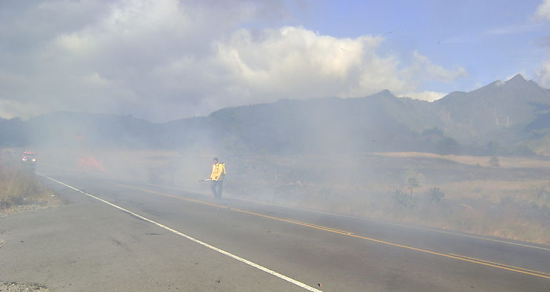 Incendios en Masas Vegetales