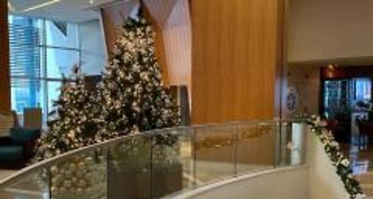 Viva la magia de la Navidad con cenas familiares y redescubra la Ciudad de Panam