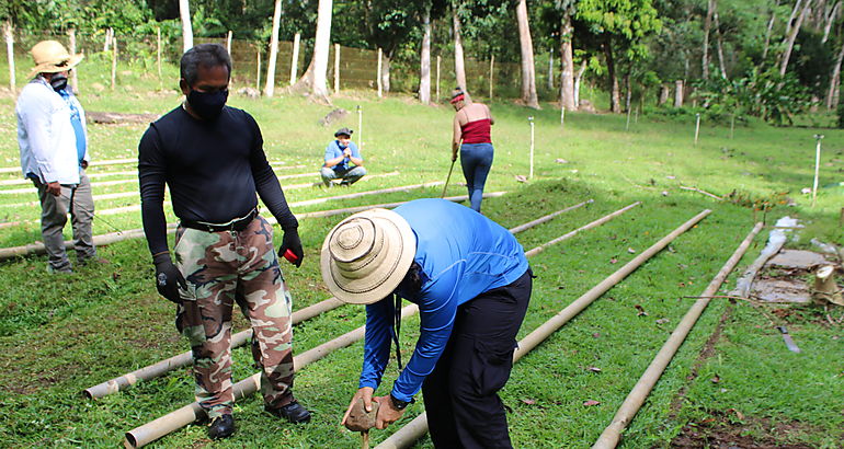 Regional de Panam Oeste reactiva vivero en El Cacao para reforestar cuencas hidrogrficas de Capira