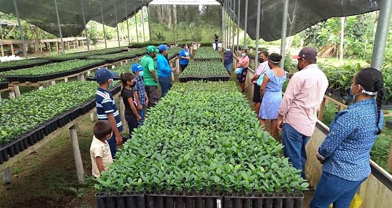 Vivero