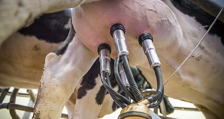 Capacitacin a productores de leche panameos en Equipos de Ordeo