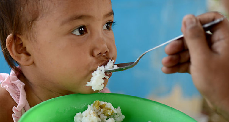 Banco de Alimentos de Panam 