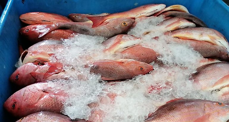 Pescado