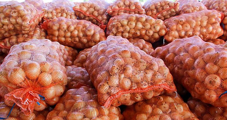 Cebolla