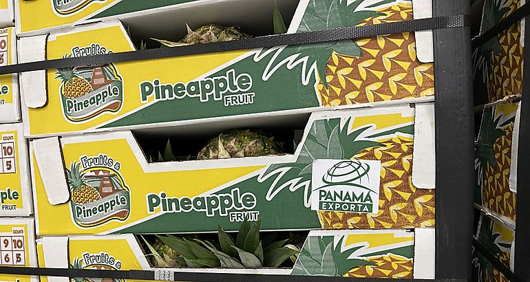 Exportacin de fruta panamea