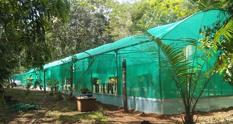 vivero