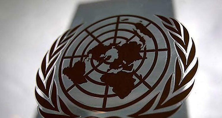 Organizacin de Naciones Unidas ONU
