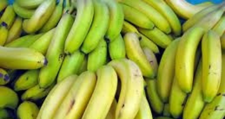Bananas