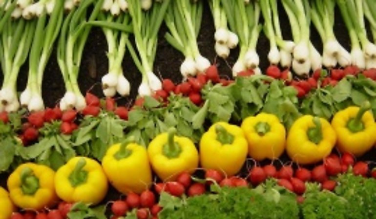 Consumo de vegetales protege al cuerpo de contaminacin del aire