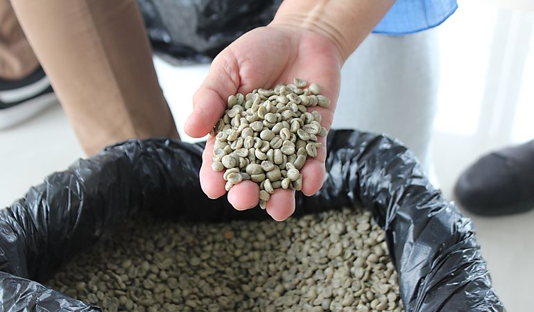 El caf geisha impone un nuevo rcord de precios en una subasta