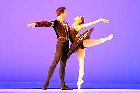 Ballet clsico Don Quijote
