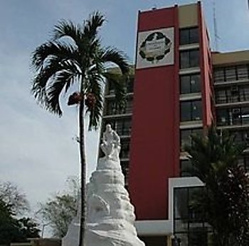 Universidad renovada e investigacin