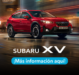 subaru 300x 250